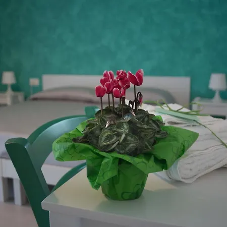 Angolo Di Paradiso 호텔 *