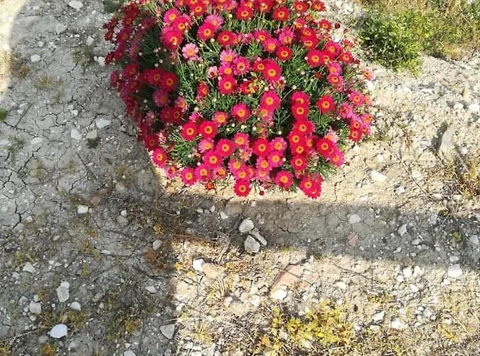 Angolo Di Paradiso * 키에티